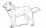 Husky Shepherd Coloriage Ausmalbilder Puppy Imprimer Hunde Getdrawings Whitespiritwolf Siberian sketch template