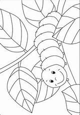Caterpillar Coloring Raupe Nimmersatt Schmetterling Kleurplaat Kleine Rups Malvorlage Frühling Malvorlagen Mandalas Ausmalen Kigaportal Rupsje Nooitgenoeg Tissue Käfer Grasshopper Fruhling sketch template