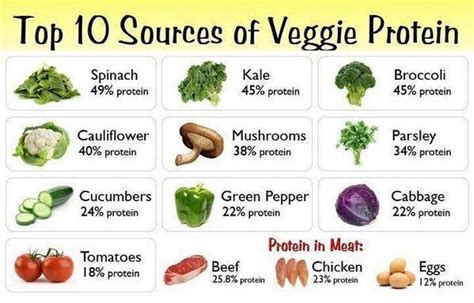 high protein vegetables project