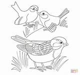 Coloring Sparrow Pages Sparrows Supercoloring Three Printable sketch template