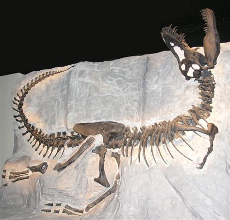 dinosaur death pose genesis park