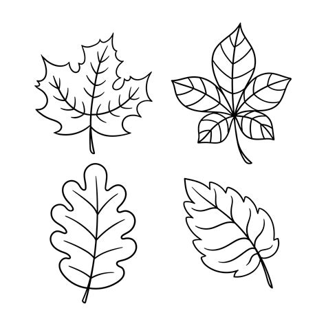 fall leaves printables     printablee