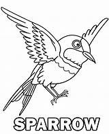 Coloring Sparrow Print Flying Bird sketch template