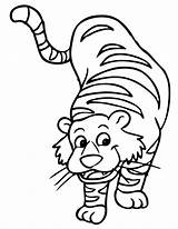 Mewarnai Harimau Tigre Colorir Cartoon Sebarkan Colornimbus Tk sketch template