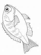 Fisch Vissen Malvorlage sketch template