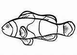 Ikan Nemo Gambar Mewarnai Coloring Dari Disimpan sketch template