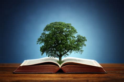 book  tree  knowledge concept   oak tree growing