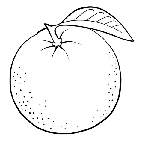 printable orange coloring page fruit coloring pages coloring pages