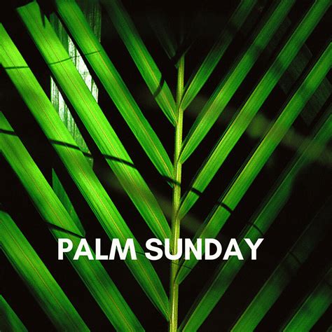 palm sunday  passion  christian church