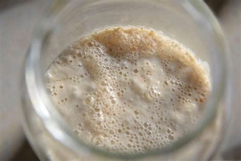 how to tell if your sourdough starter is bad baking kneads llc