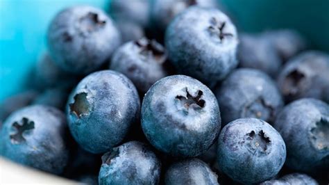 7 things you probably didn t know about blueberries everyday health