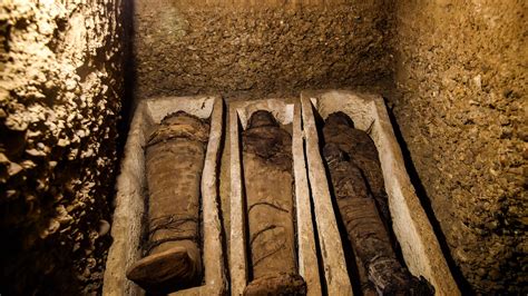 800 Year Old Mummy Head Stolen In Ireland