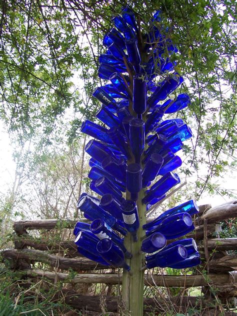 Blue Bottle Tree This Is In The Arboretum I Learned