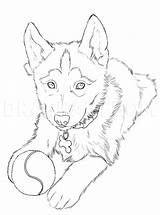 Step Husky Draw Drawing Huskies Dragoart sketch template