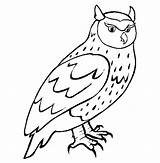 Owl Coloring Horned Great Pages Getdrawings Drawing Getcolorings sketch template