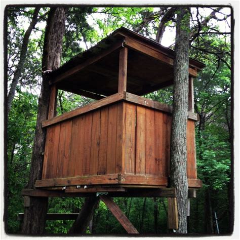 treehouse designs images  pinterest treehouse tree houses  treehouses