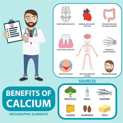 the function of calcium what you need to know about the other 1