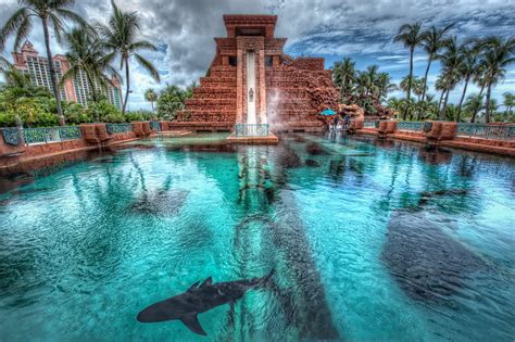 hd wallpaper palm trees shark pool bahamas nassau atlantis hotel