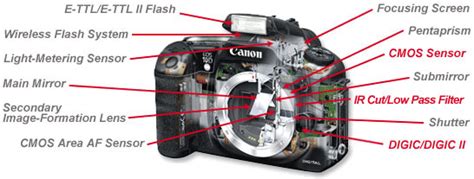 amazoncom canon eos  dslr camera body   model camera photo
