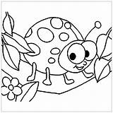 Insects Bug Justcolor sketch template
