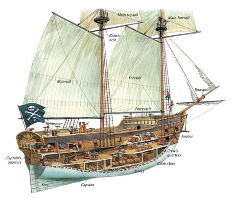 anatomy   ship  pirates glossary  terms pirate ship sailing ships brigantine