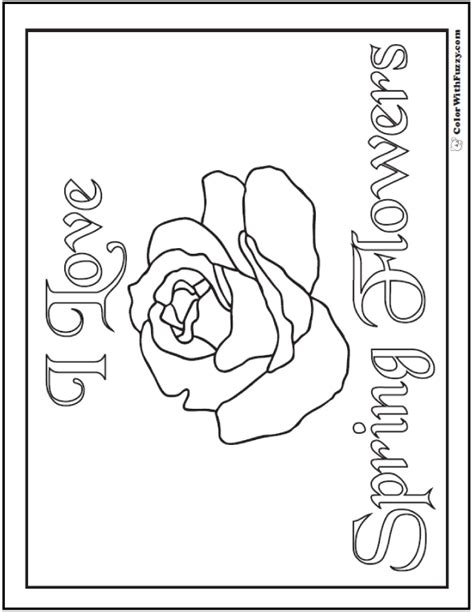 spring flowers coloring page  spring coloring pages