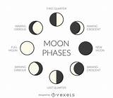 Phases Fases Lunares Vexels Ilustradas Lua Spells Maanfasen Ilustrados Fase Mond Moons B6 Maan Uitgelicht sketch template