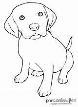 Coloring Puppy Pages Print Cute Dog Beagle Lab Printable Stencils Puppys Labrador Color Puppies Drawing Yellow Kids Easy Animal Click sketch template