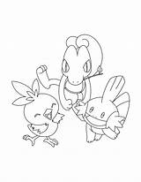 Pokemon Coloring Pages Advanced Mudkip Torchic Color Colouring Printable Sheets Torch Print Truck Mud Groups Getcolorings Silhouette Tv Series Olympic sketch template