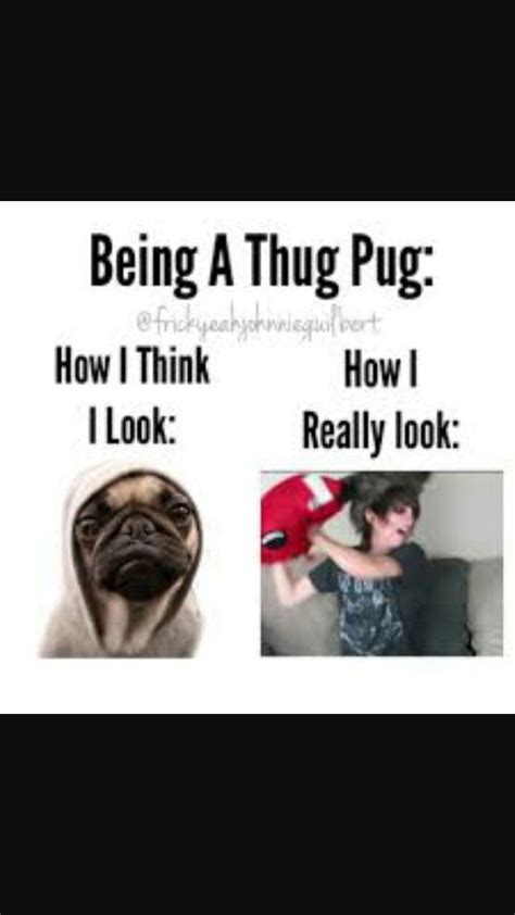 i m a thug pug and always will be love you johnnie