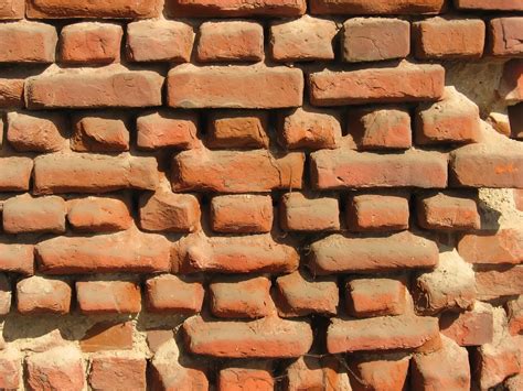brick wall   photo  freeimages