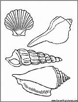 Coloring Sea Pages Seashell Seashells Shells Printable Shell Kids Color Colouring Beach Snail Print Sheets Book Fun Template Bestcoloringpagesforkids Animal sketch template