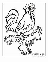 Sternzeichen Rooster Printables sketch template