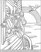 Coloring Noah Dove Olive Branch Thecatholickid Ark Pages Returns Visit Bible Noahs Stories sketch template