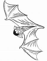Vampire Bat Coloring Pages Coloriage Imprimer Cliparts Sheets Printactivities Color Kids Dessins Colorier Clipart Library Dessin Gif Animal Also Car sketch template