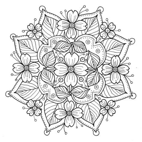 dogwood flower coloring pages sketch coloring page