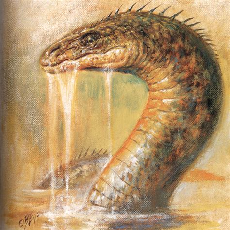 sea serpent warriors  myth wiki fandom powered  wikia
