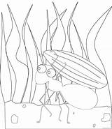 Ant Coloring Hostted Coloring4free Related Posts sketch template