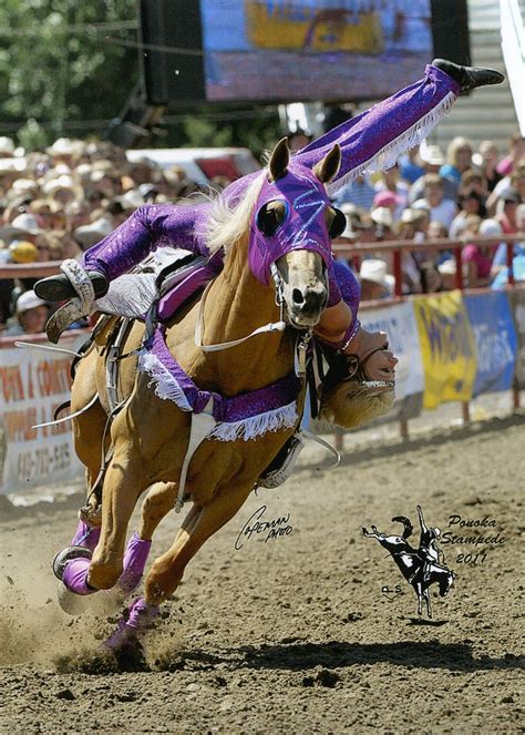 living  dream trick riding horse riding horses