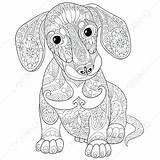 Coloring Pages Dachshund Dog Puppy Mandala Ausmalbilder Hunde Hard Zentangle Mandalas Colouring Drawing Printable Ausmalen Puppies Stylized Erwachsene Sketch Freehand sketch template