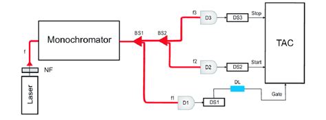 schematic   experimental setup bs  bs  fiber  splitters  scientific