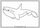 Orca sketch template