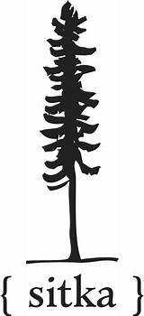 Sitka Tree Tattoo Spruce Pine Trees Silhouette Wood Christmas Little Tattoos Choose Board Projects Google Ca sketch template