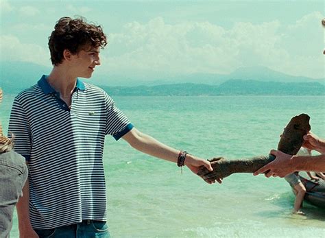 ‘call me by your name —more than an lgbtq love story new