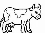Cow Coloring Pages Kids Printable Animals sketch template