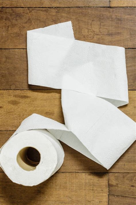 how did humans wipe before toilet paper 15 things