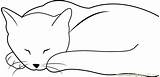 Coloring Cat Sleeping Cute While Looking Pages Coloringpages101 Cats Color sketch template