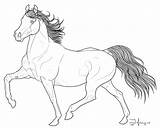 Coloring Horse Comments Andalusian Strutting sketch template