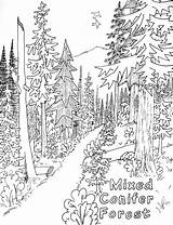 Coloring Nature Pages Print Kids Printable sketch template
