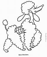 Poodle Coloring Color Pages Kids Dog Poodles Drawings Drawing Skirt Printable French Clipart Raisingourkids Print Colouring Puppy Library Standard Paintingvalley sketch template